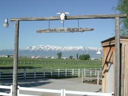 Bar~On Ranch - Home of Skippoleon - 1999 Buckskin Stallion